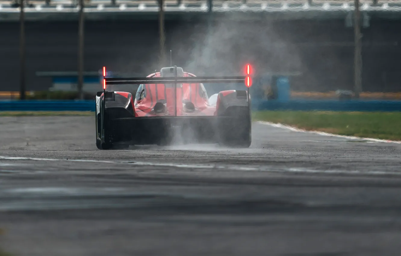 Photo wallpaper Porsche, rear view, 963, LMDh, Porsche 963