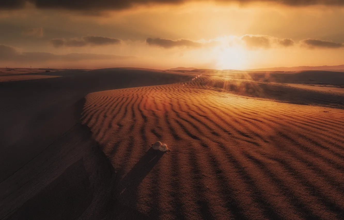 Photo wallpaper sand, rays, the dunes, desert, shell, dunes, dal, the sun