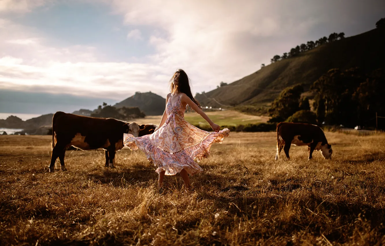Photo wallpaper girl, dance, cows, Jesse Duke, Raluca