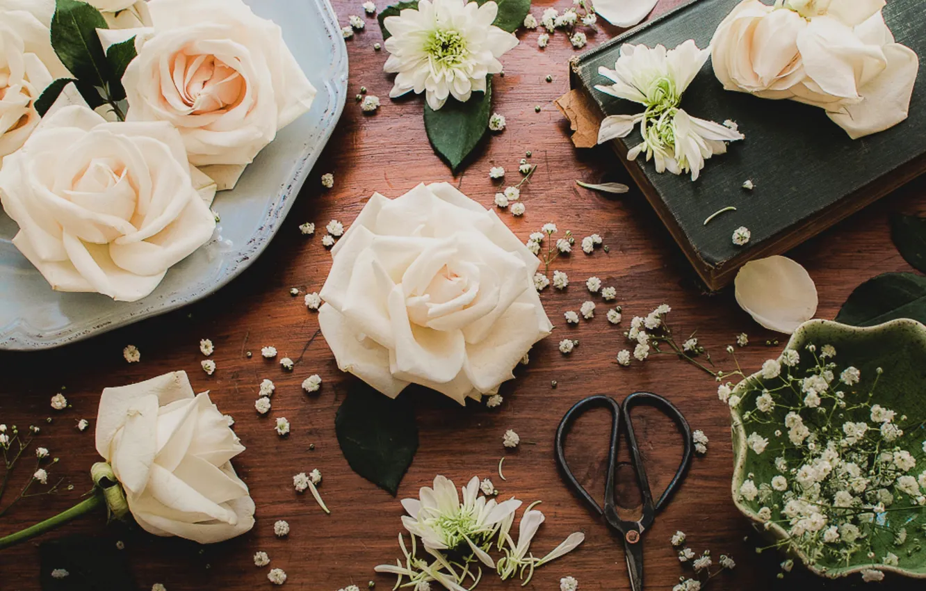 Photo wallpaper style, roses, petals, book, still life, buds, scissors, gypsophila