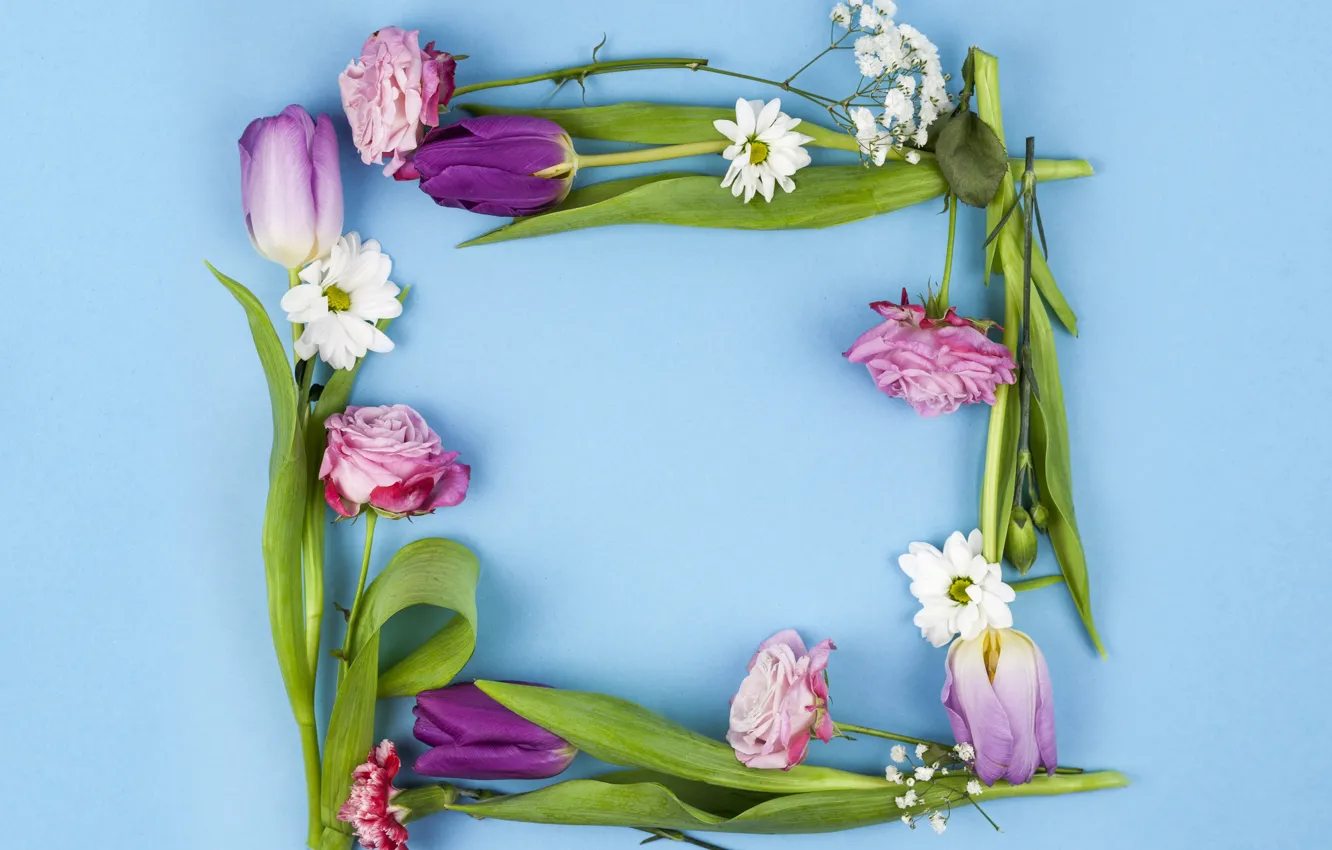 Photo wallpaper purple, flowers, roses, tulips, pink, pink, flowers, beautiful