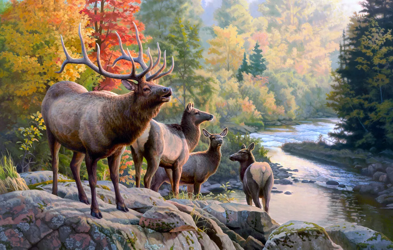Photo wallpaper autumn, forest, nature, pose, river, stones, shore, foliage