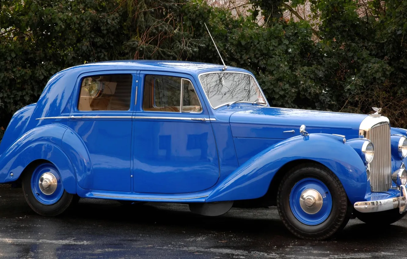 Photo wallpaper trees, retro, lights, color, yard