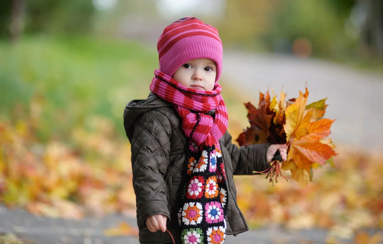 Photo wallpaper autumn, hat, bouquet, scarf, jacket, child, maple leaves