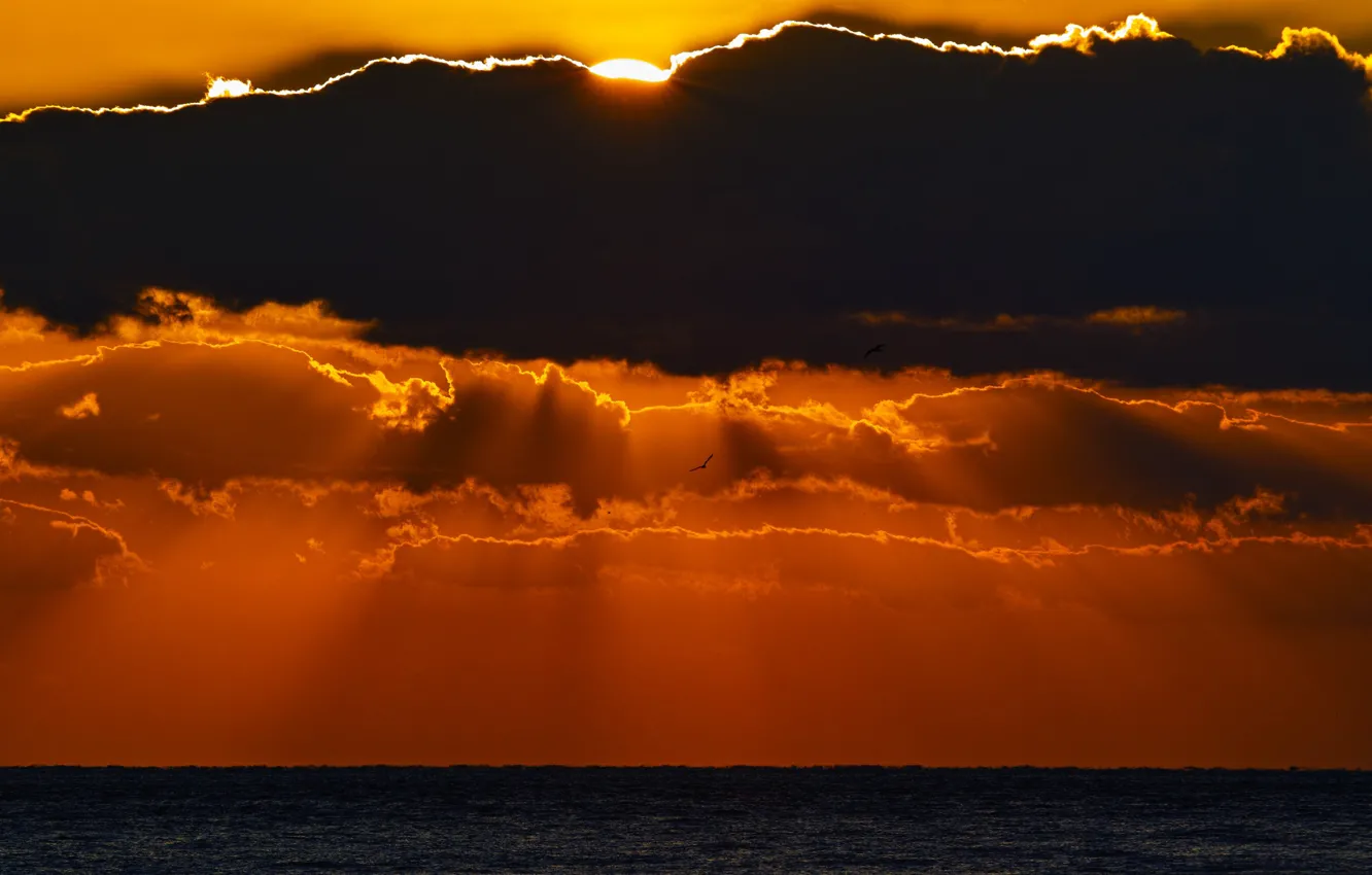 Photo wallpaper sea, the sun, clouds, sunset, the evening, horizon