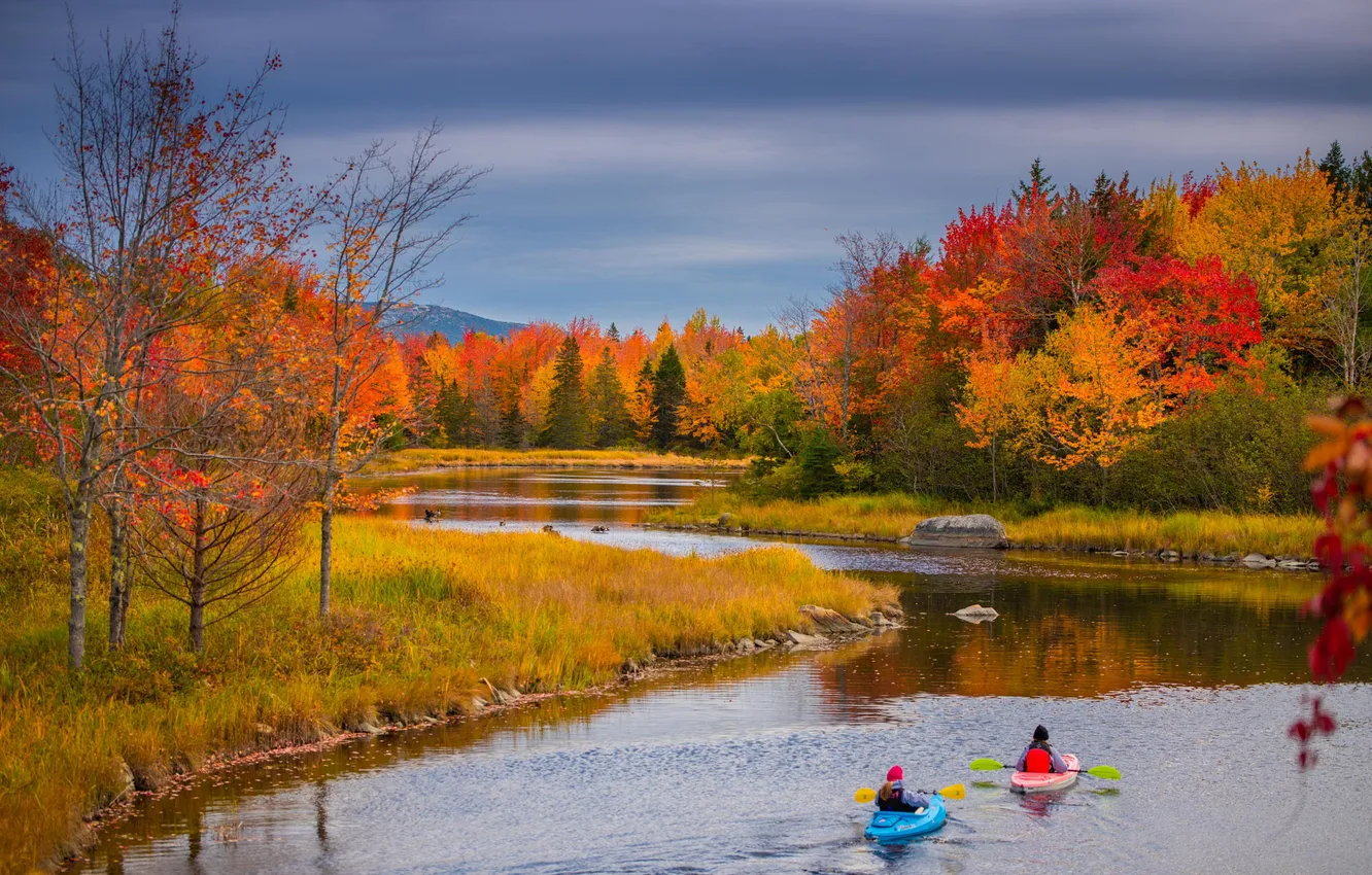 Photo wallpaper autumn, forest, trees, children, river, shore, boat, swimming