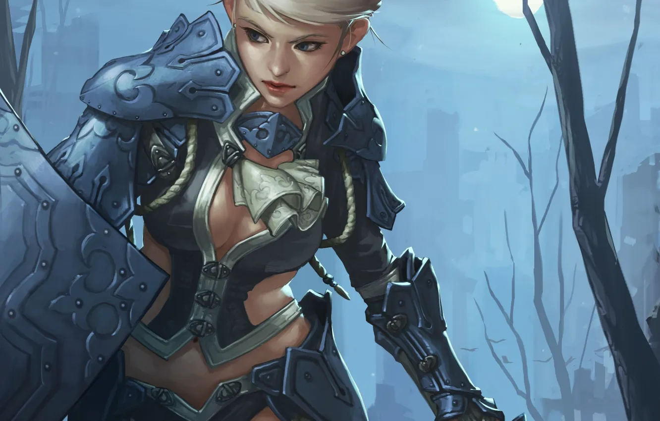 Photo wallpaper girl, moon, sword, fantasy, cleavage, armor, weapon, night