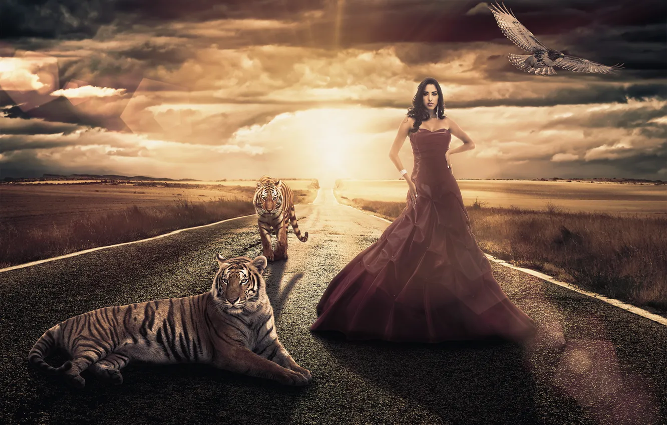 Photo wallpaper road, girl, bird, field, dress, tigers, Andreza Alves
