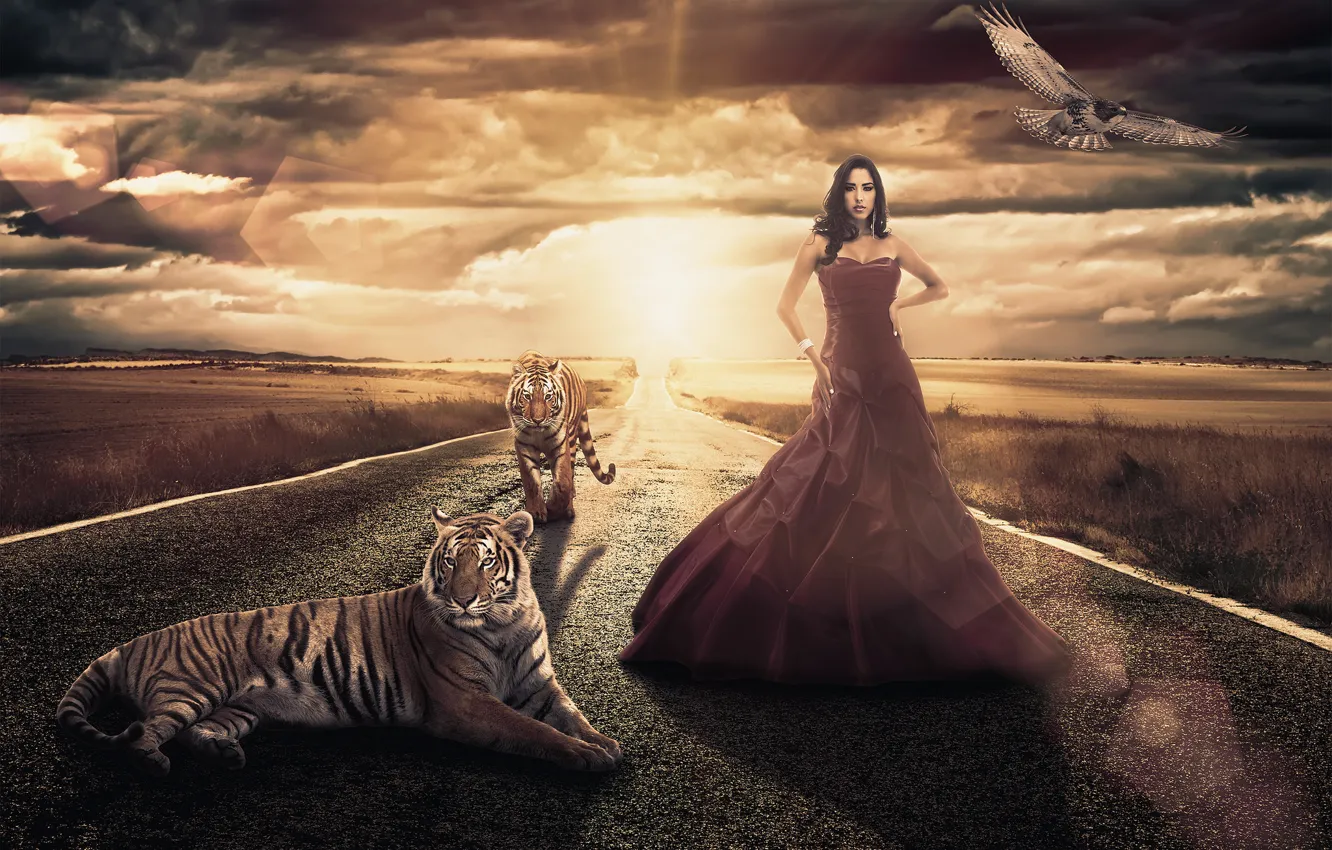 Photo wallpaper road, field, girl, tiger, bird, dress, Andreza Alves