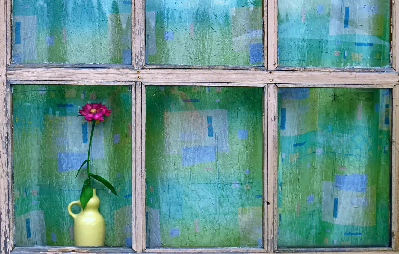 Photo wallpaper flower, house, window