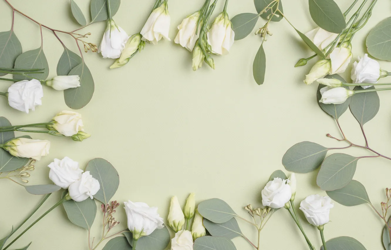 Photo wallpaper flowers, background, eustoma