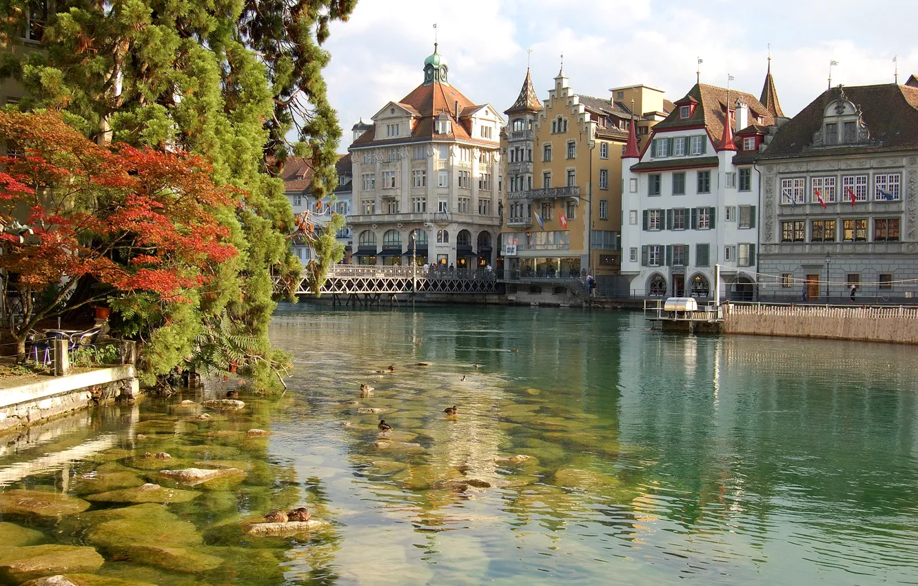 Photo wallpaper trees, stones, bird, home, Italy, Florence, water