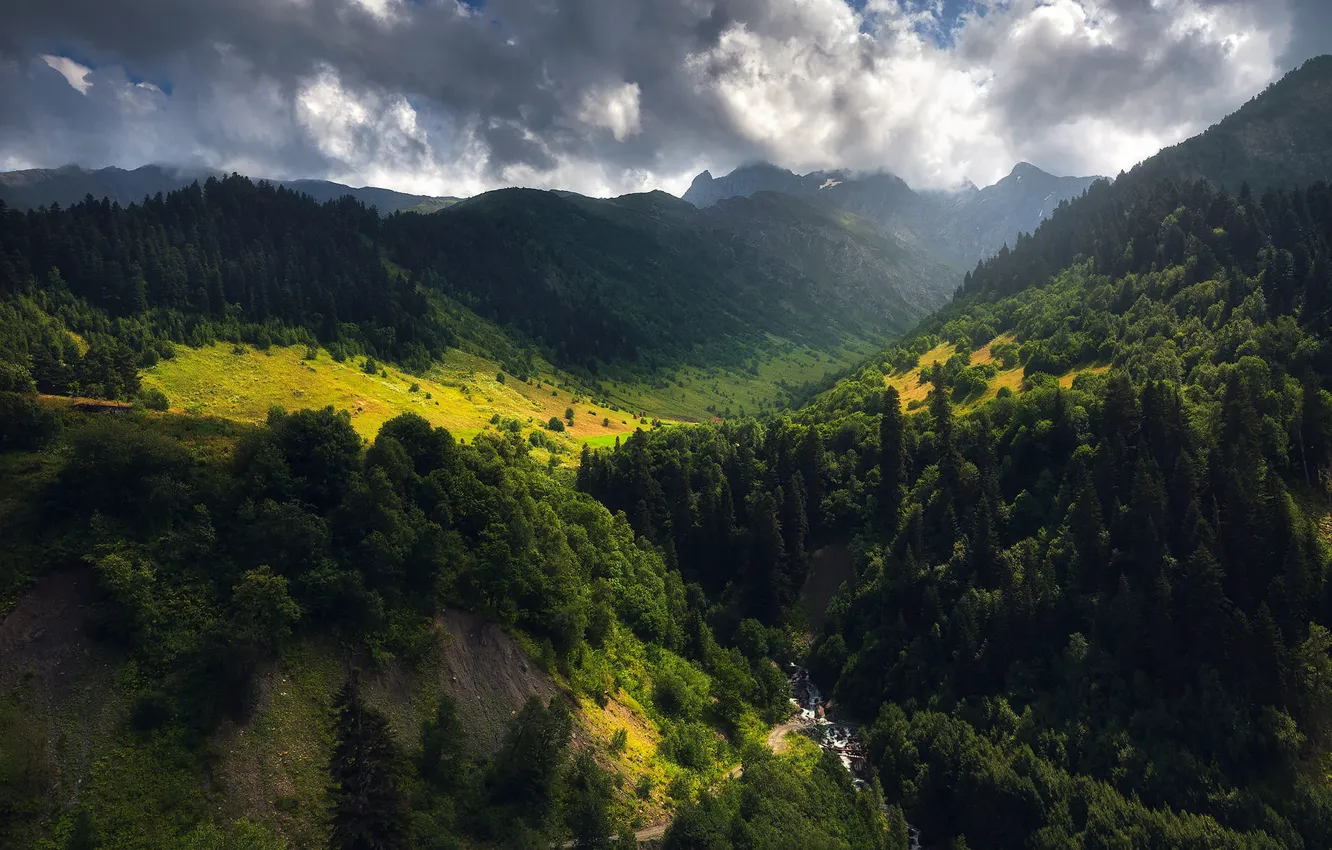 Photo wallpaper forest, clouds, trees, mountains, fog, hills, dal, slope