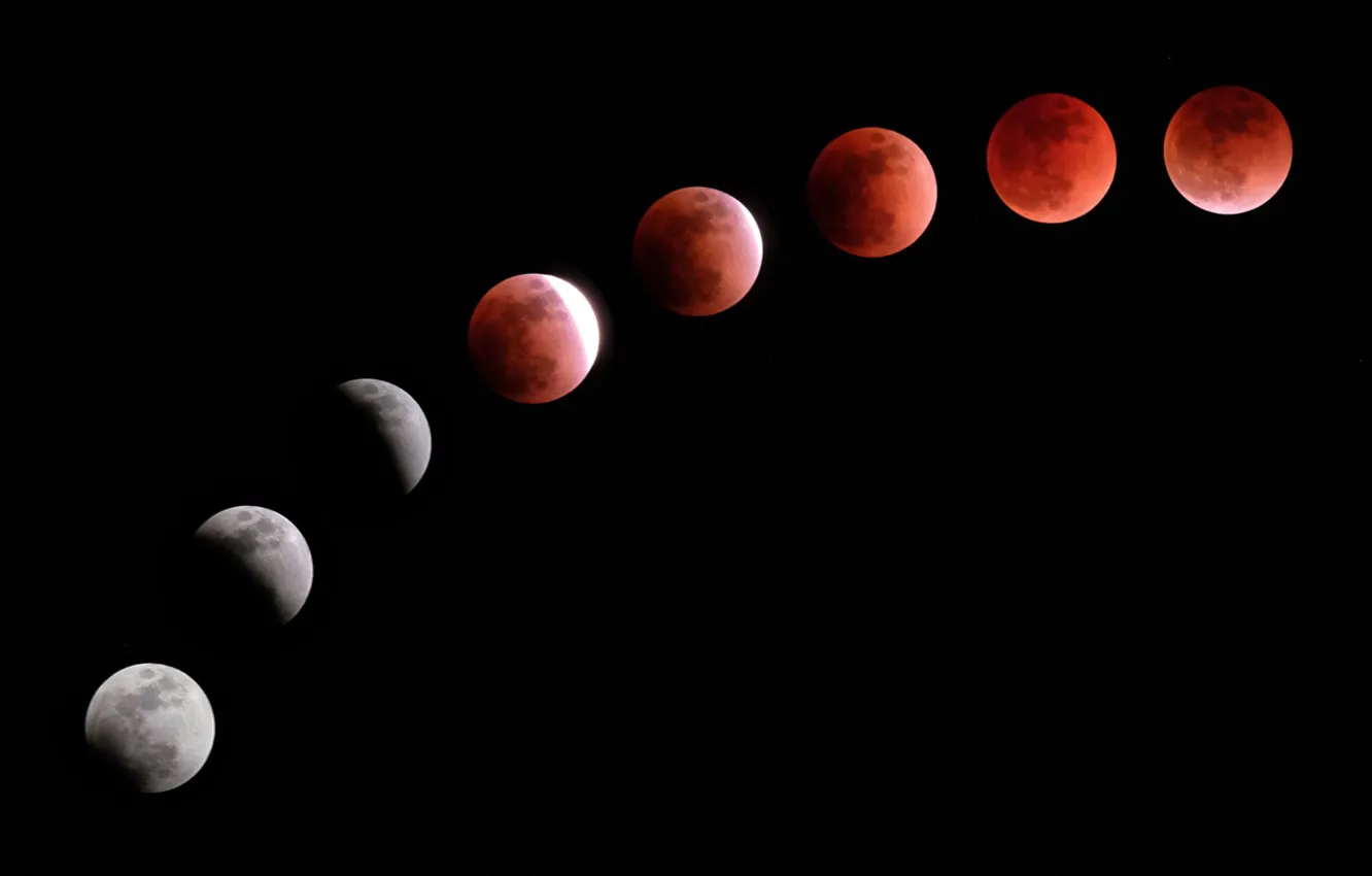 Photo wallpaper the moon, Eclipse, cycle