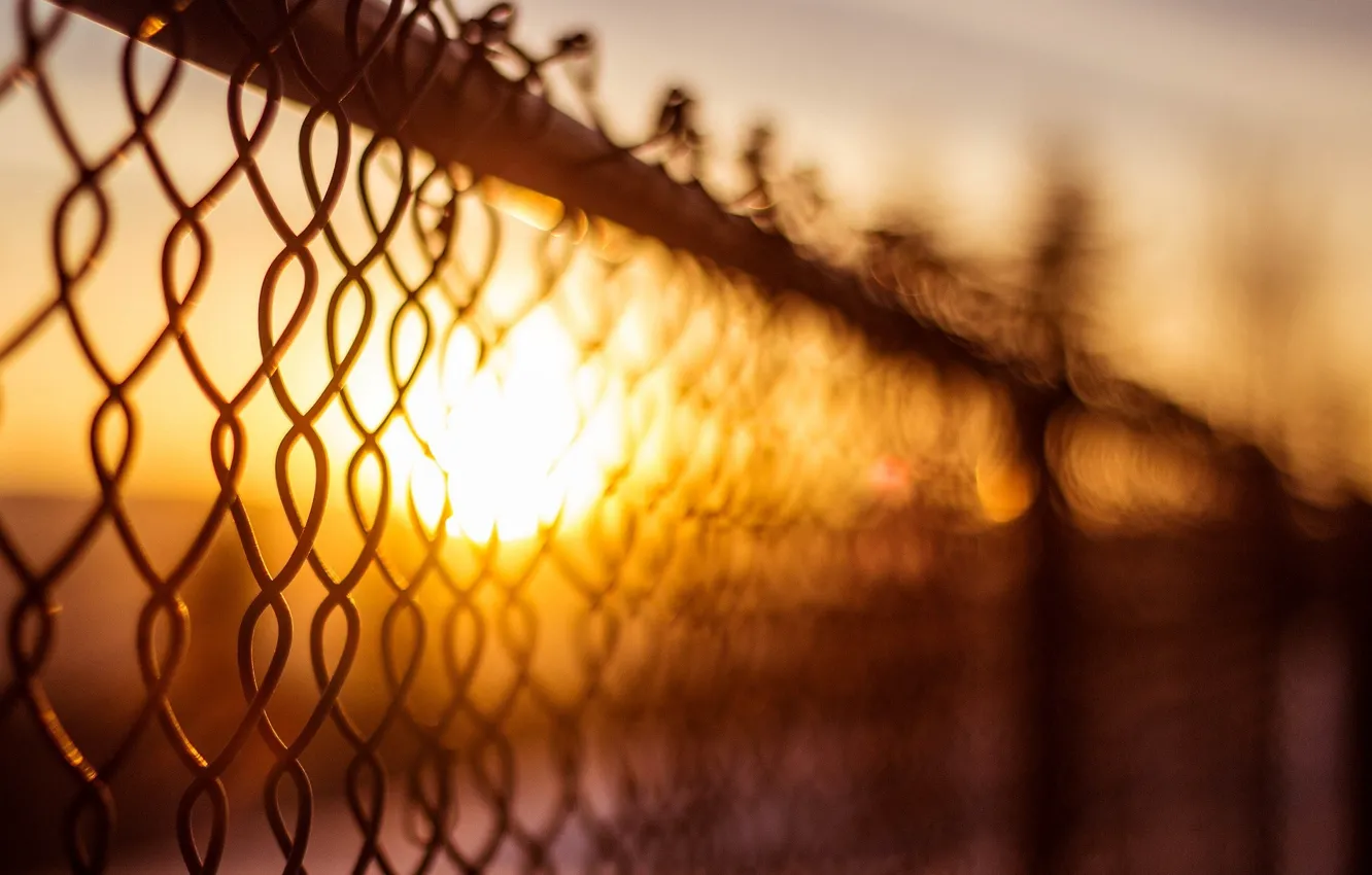 Photo wallpaper the sun, macro, background, mesh, widescreen, Wallpaper, the fence, blur