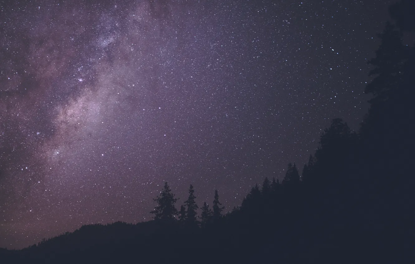 Photo wallpaper forest, night, the way, milky, the sky.stars