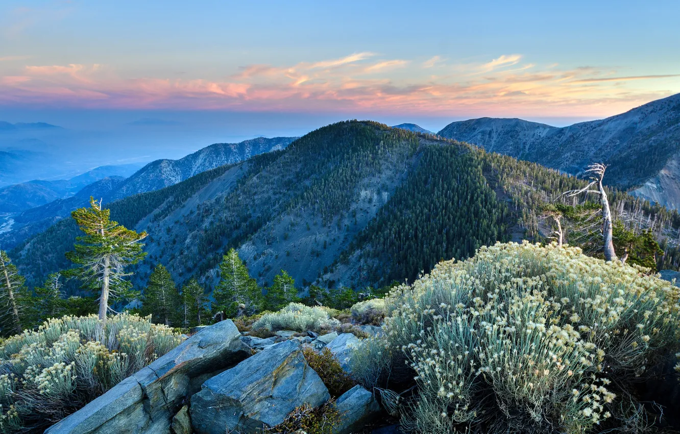Photo wallpaper clouds, trees, mountains, stones, horizon, space, CA, USA
