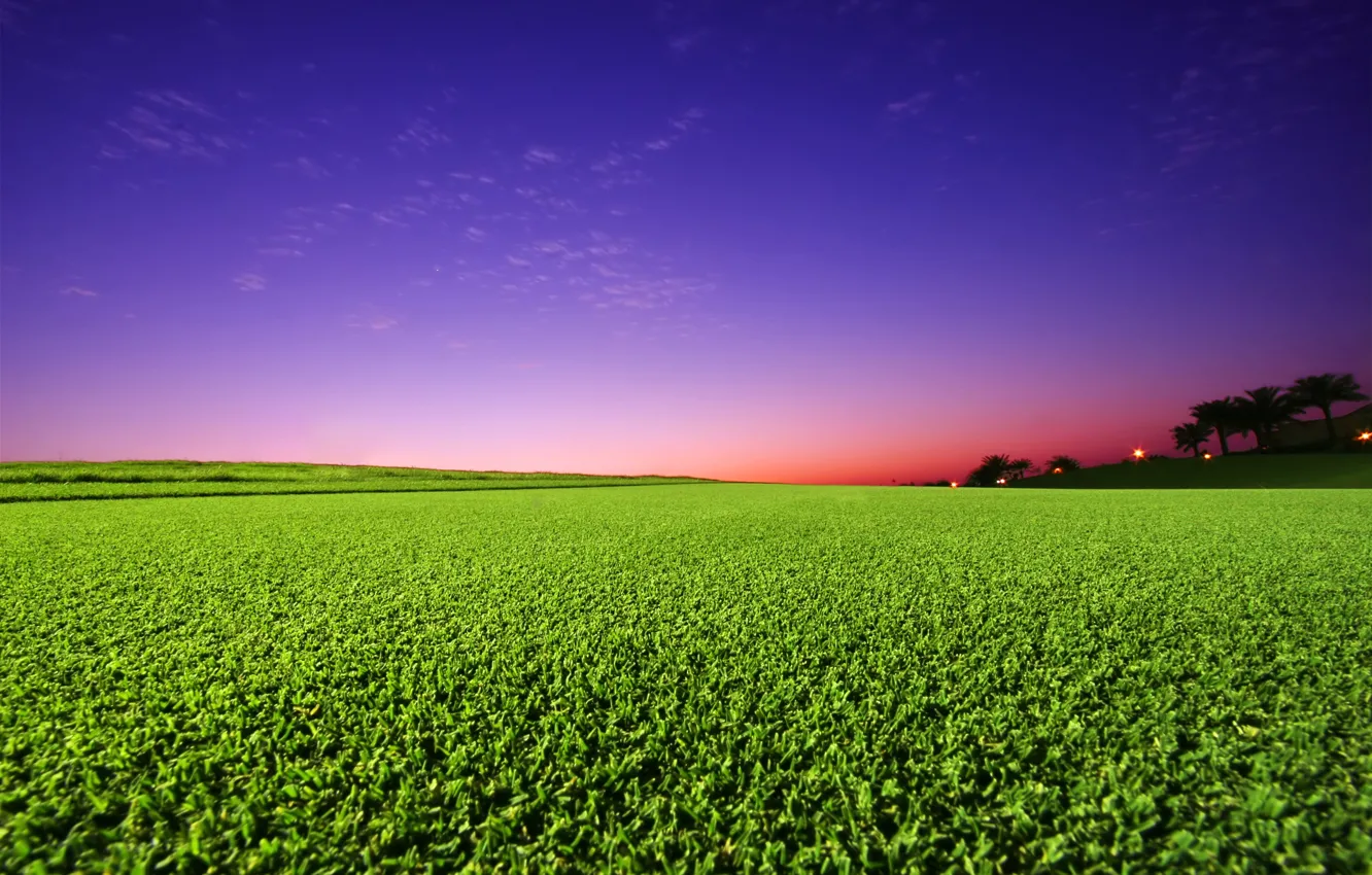 Photo wallpaper greens, field, the sky, sunset