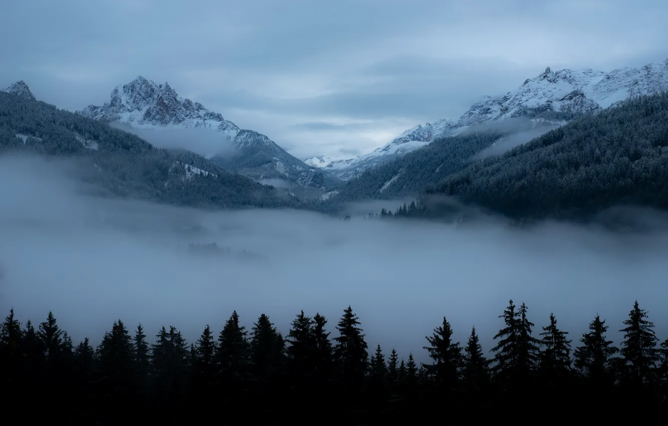 Photo wallpaper winter, the sky, clouds, snow, trees, mountains, nature, fog