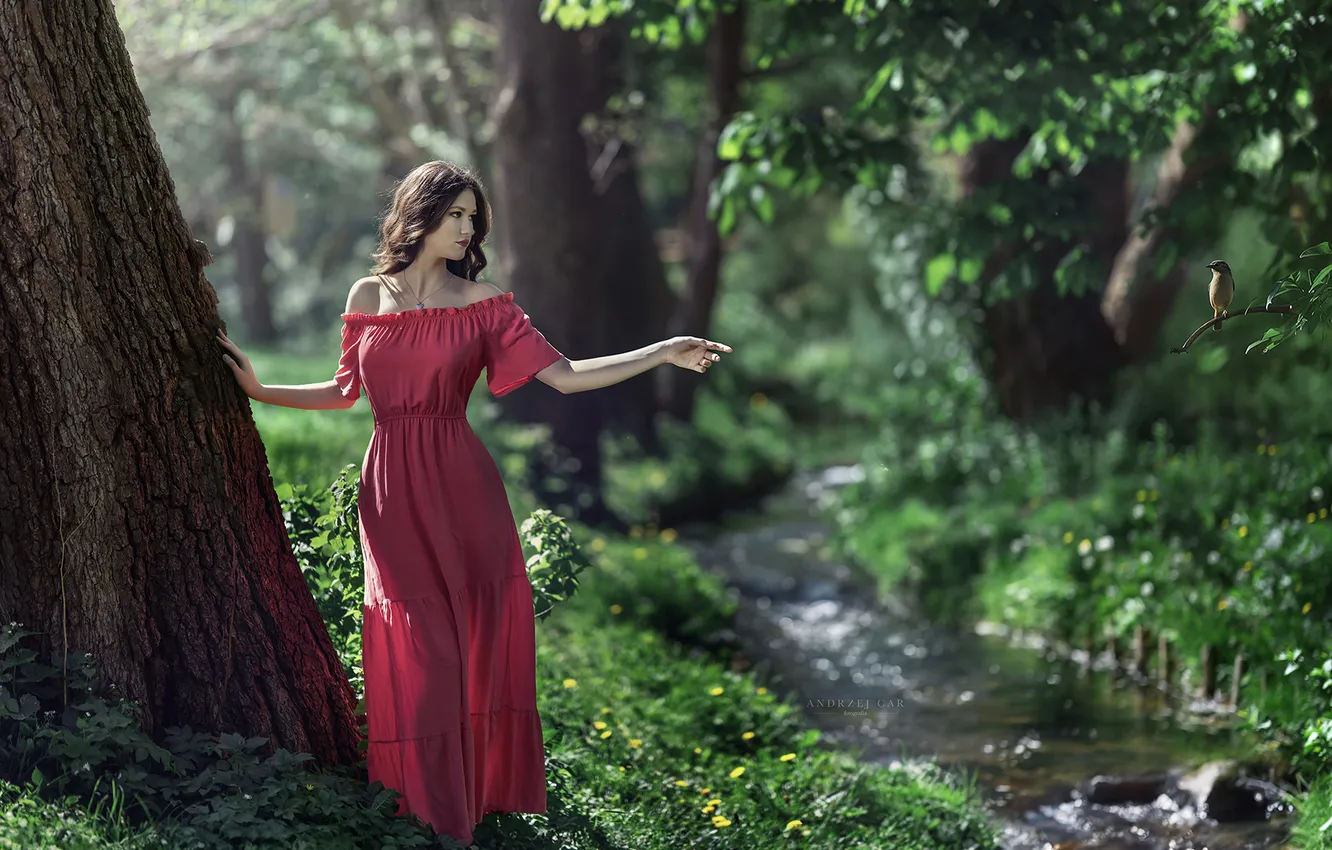 Photo wallpaper forest, trees, model, Andrzej Czar