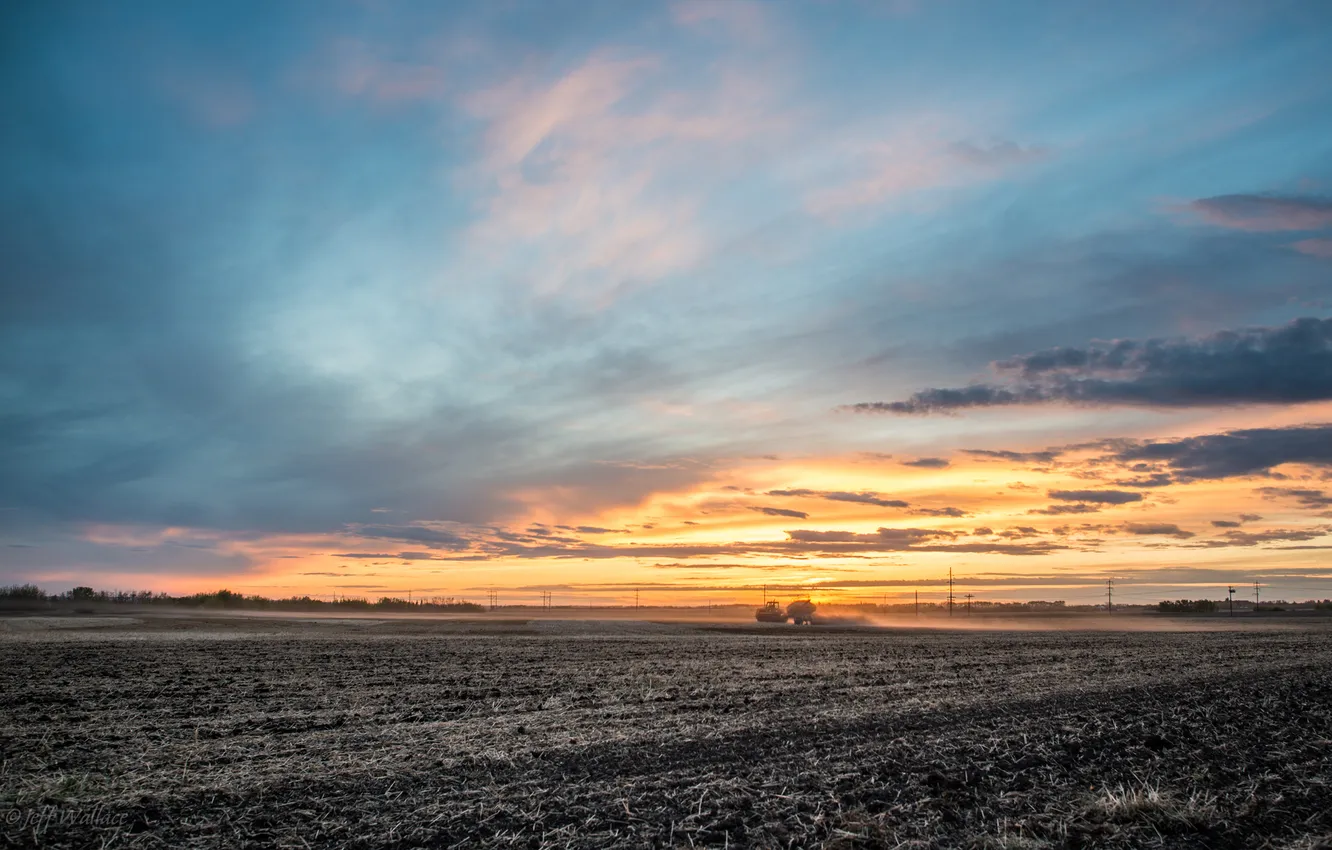 Photo wallpaper field, technique, Jeff Wallace