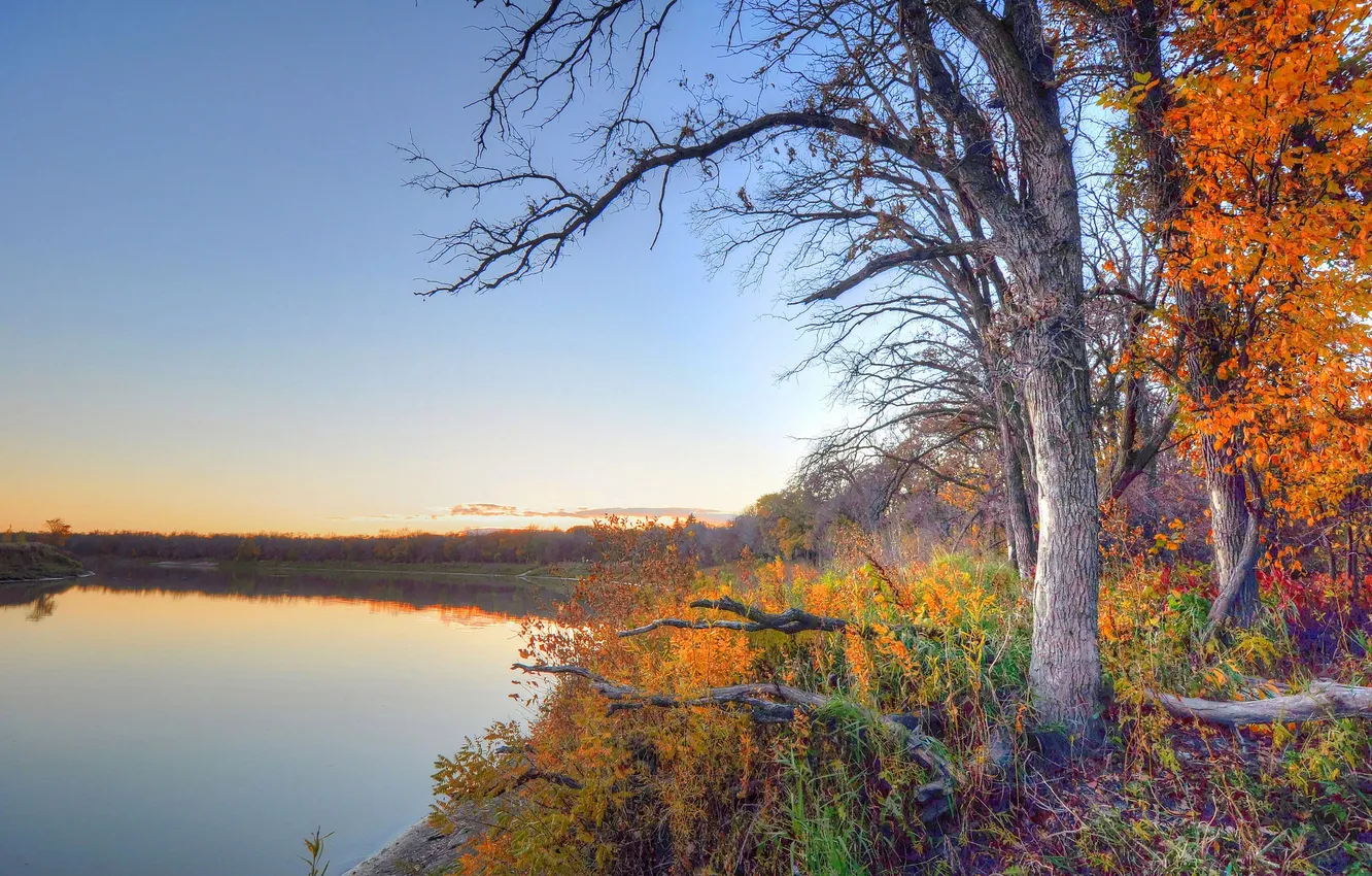 Photo wallpaper autumn, the sky, grass, trees, river