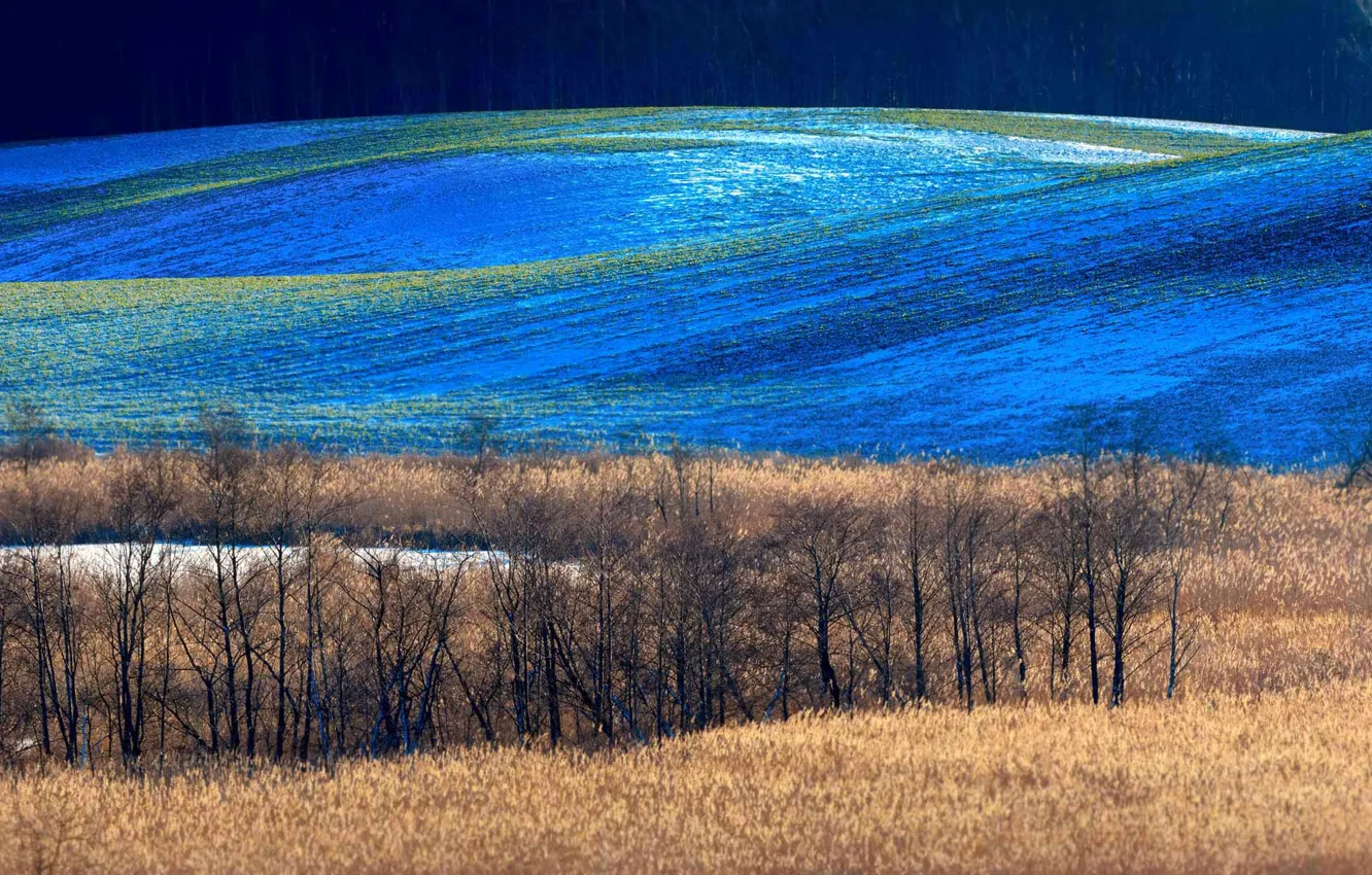 Photo wallpaper winter, field, hills, Poland, Barczewo