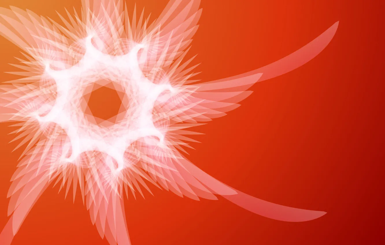 Photo wallpaper light, flowers, Wallpaper, spiral