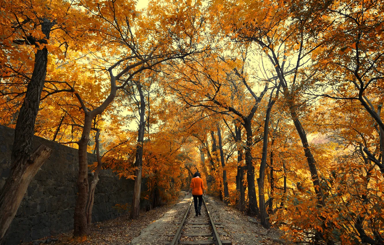 Photo wallpaper road, autumn, leaves, girl, trees, nature, foliage, rails
