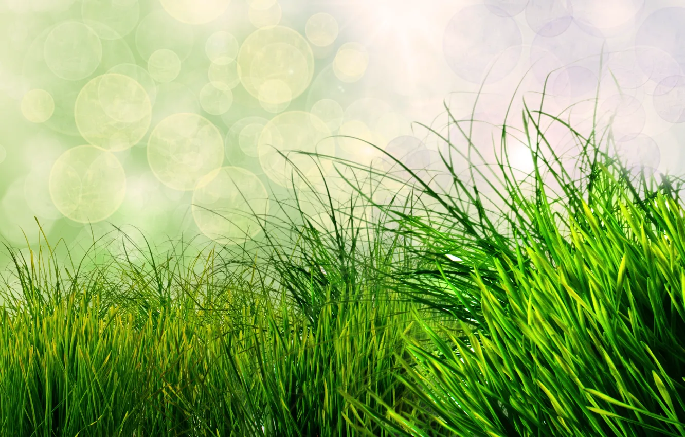 Photo wallpaper grass, nature, green, bokeh