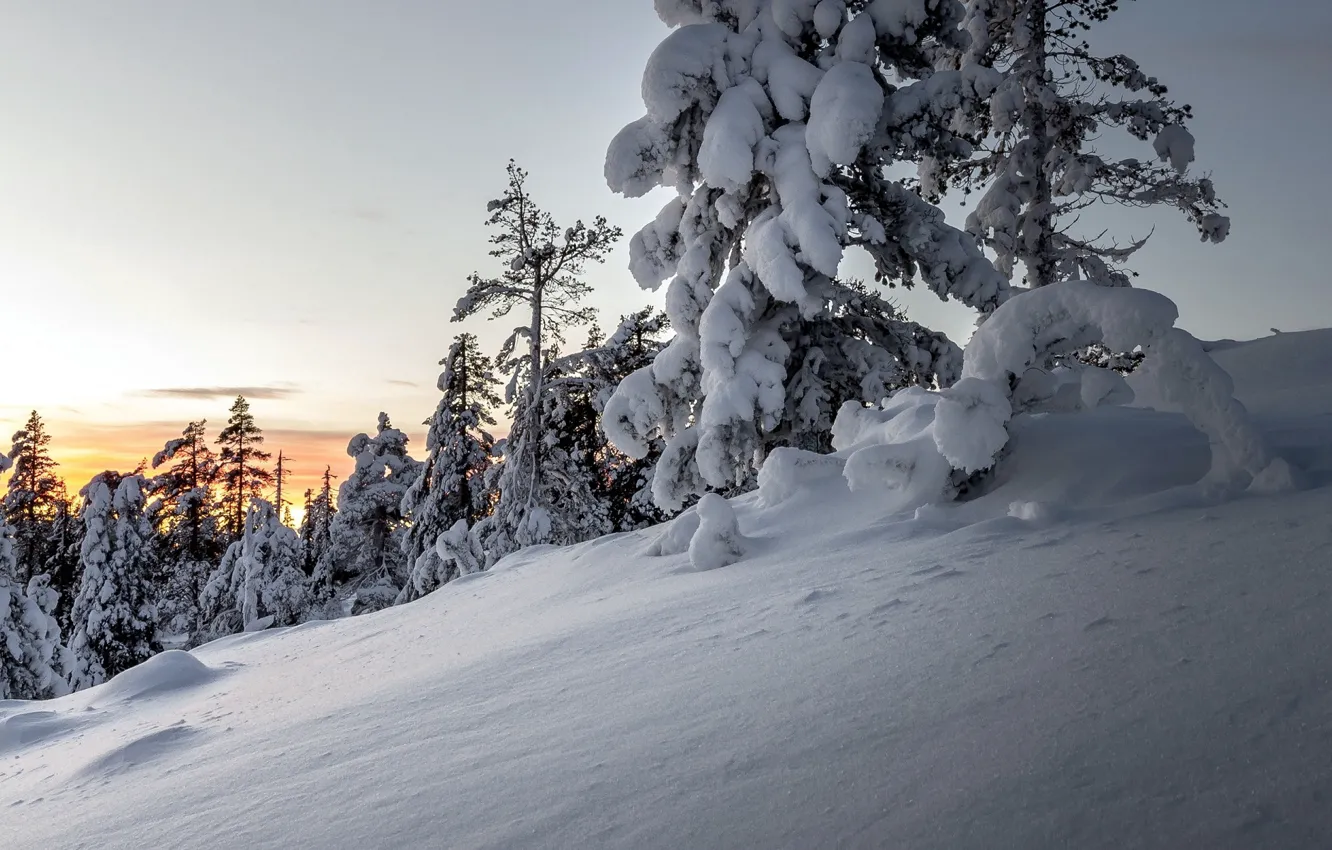 Photo wallpaper winter, snow, Prada, the evening