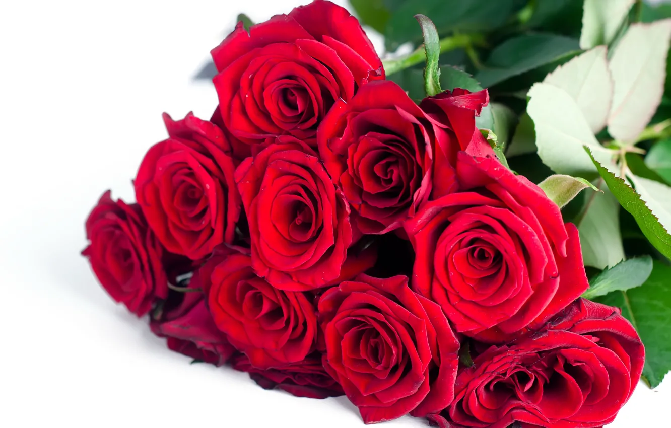 Photo wallpaper flowers, roses, bouquet, red, red, flowers, beautiful, romantic