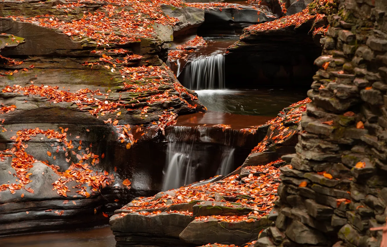 Photo wallpaper autumn, stones, rocks, foliage, waterfall, falling leaves