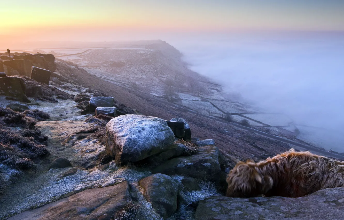Photo wallpaper landscape, fog, mountain