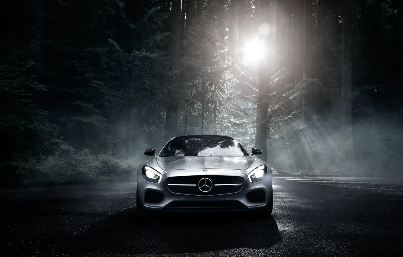 Photo wallpaper Mercedes-Benz, Dark, Front, AMG, Sun, Color, Silver, Forest