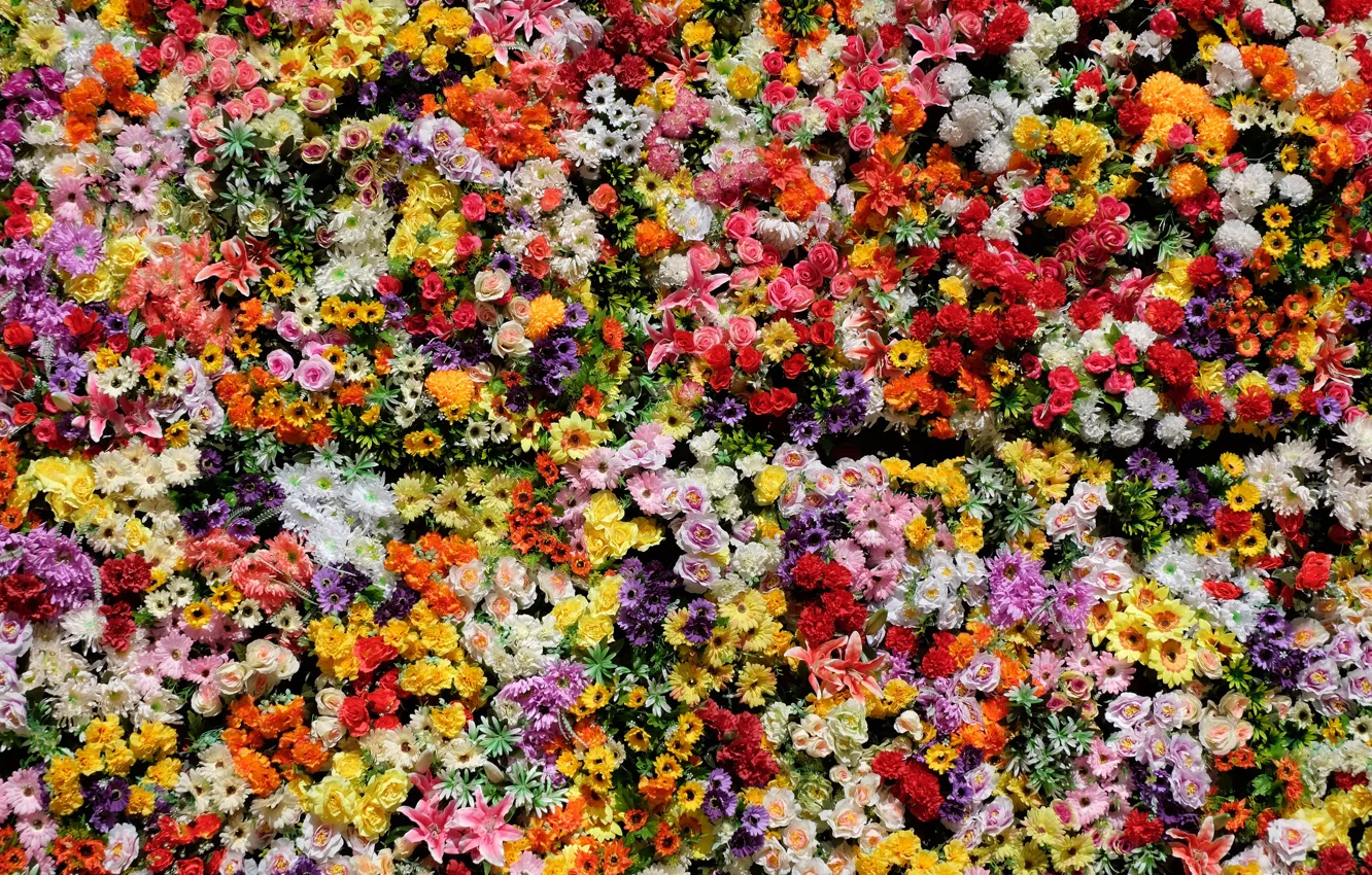 Photo wallpaper flowers, bright, Lily, roses, bouquet, different, chrysanthemum, flower carpet