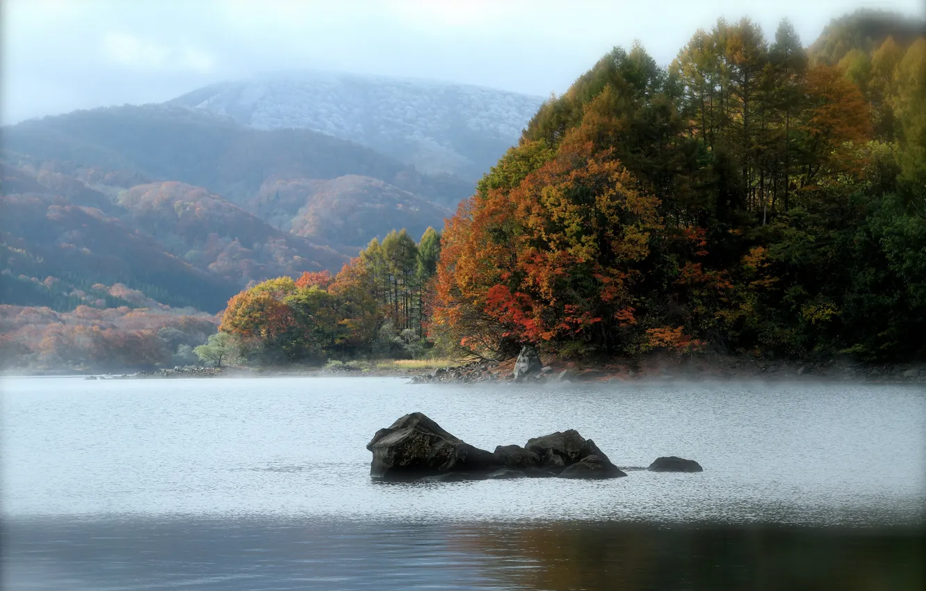 Photo wallpaper autumn, forest, trees, mountains, lake, stones