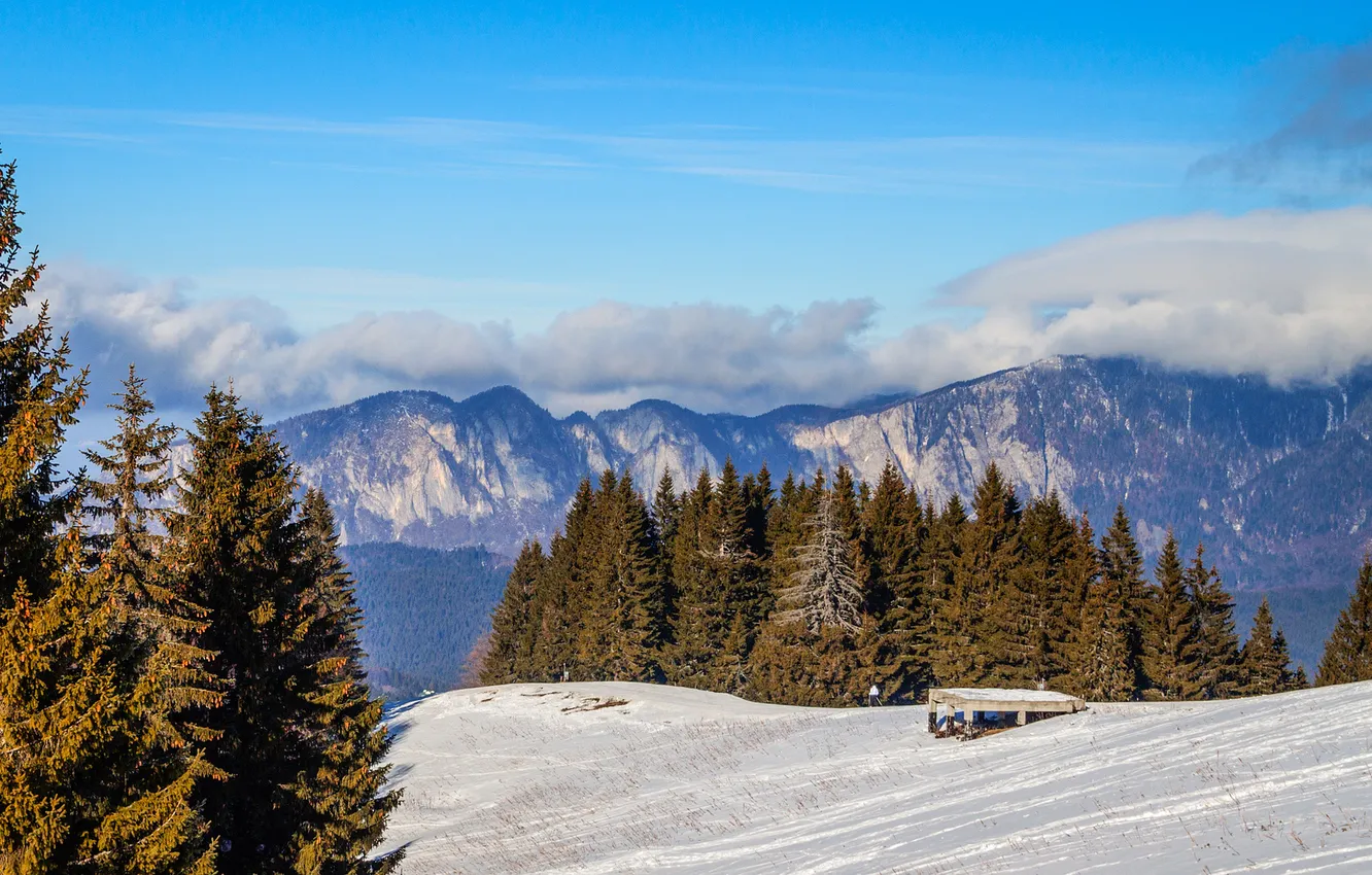 Photo wallpaper clouds, snow, trees, mountains, ate