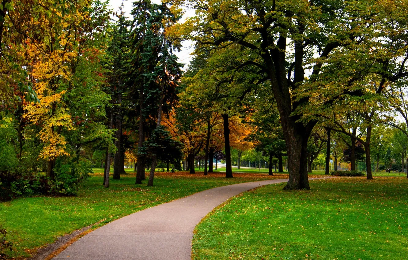 Photo wallpaper road, autumn, forest, leaves, trees, nature, Park, colors