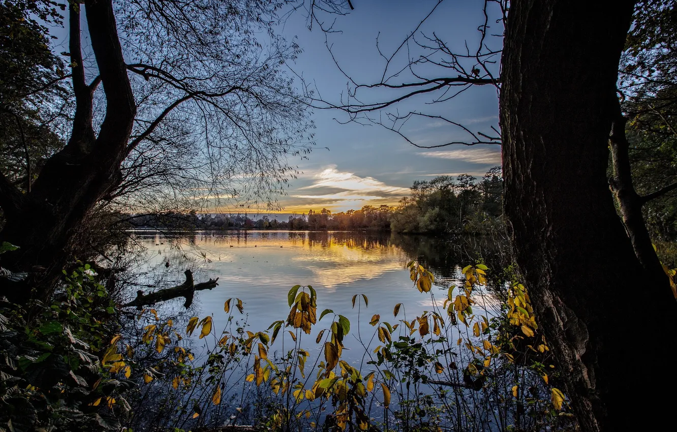 Photo wallpaper nature, lake, morning