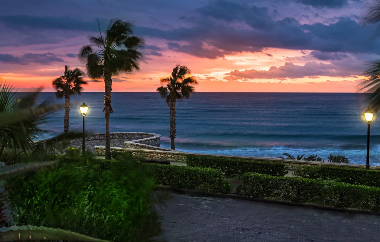 Photo wallpaper sea, trees, landscape, the city, palm trees, shore, the evening, lights