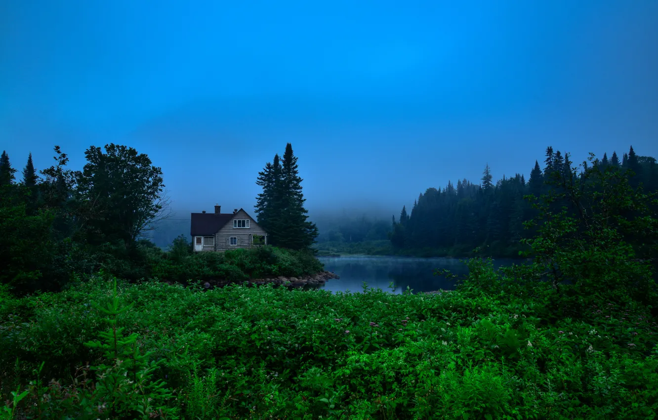 Photo wallpaper greens, forest, water, trees, fog, house, Canada, river