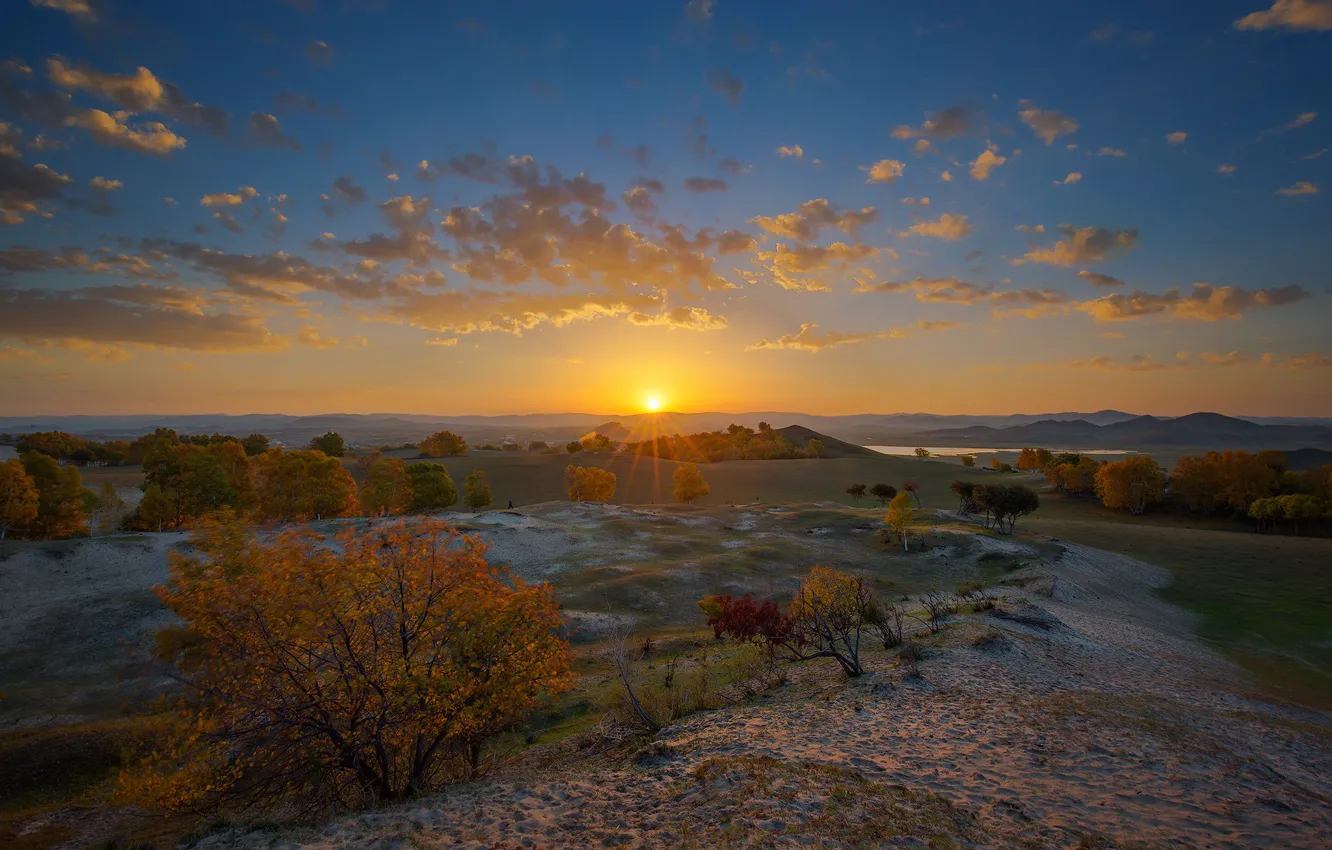 Photo wallpaper autumn, trees, sunset