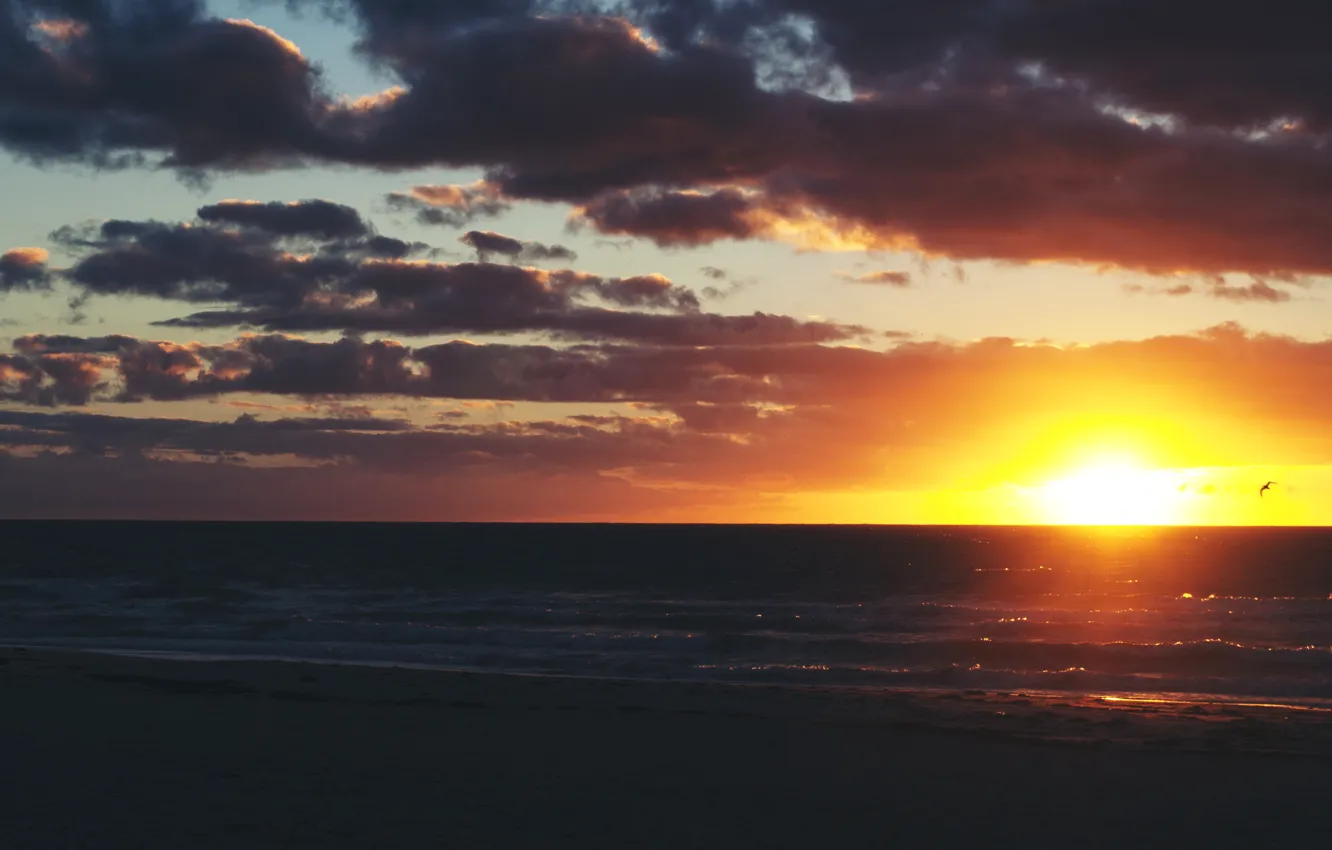 Photo wallpaper wave, the sky, clouds, sunset, bird, horizon