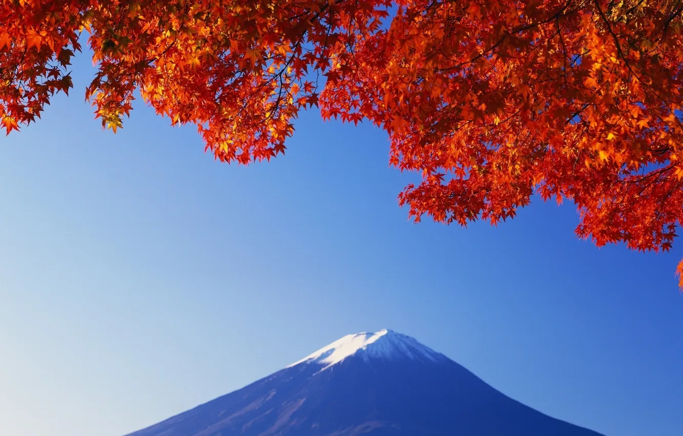 Photo wallpaper leaves, snow, Japan, mountain, red