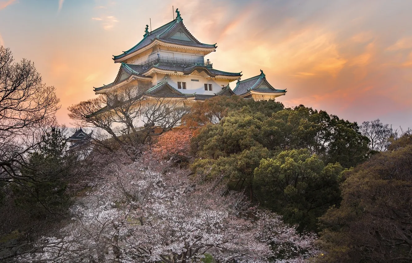 Photo wallpaper Japan, plants, Asia, Osaka, building, Osaka Castle, sunset, pagoda