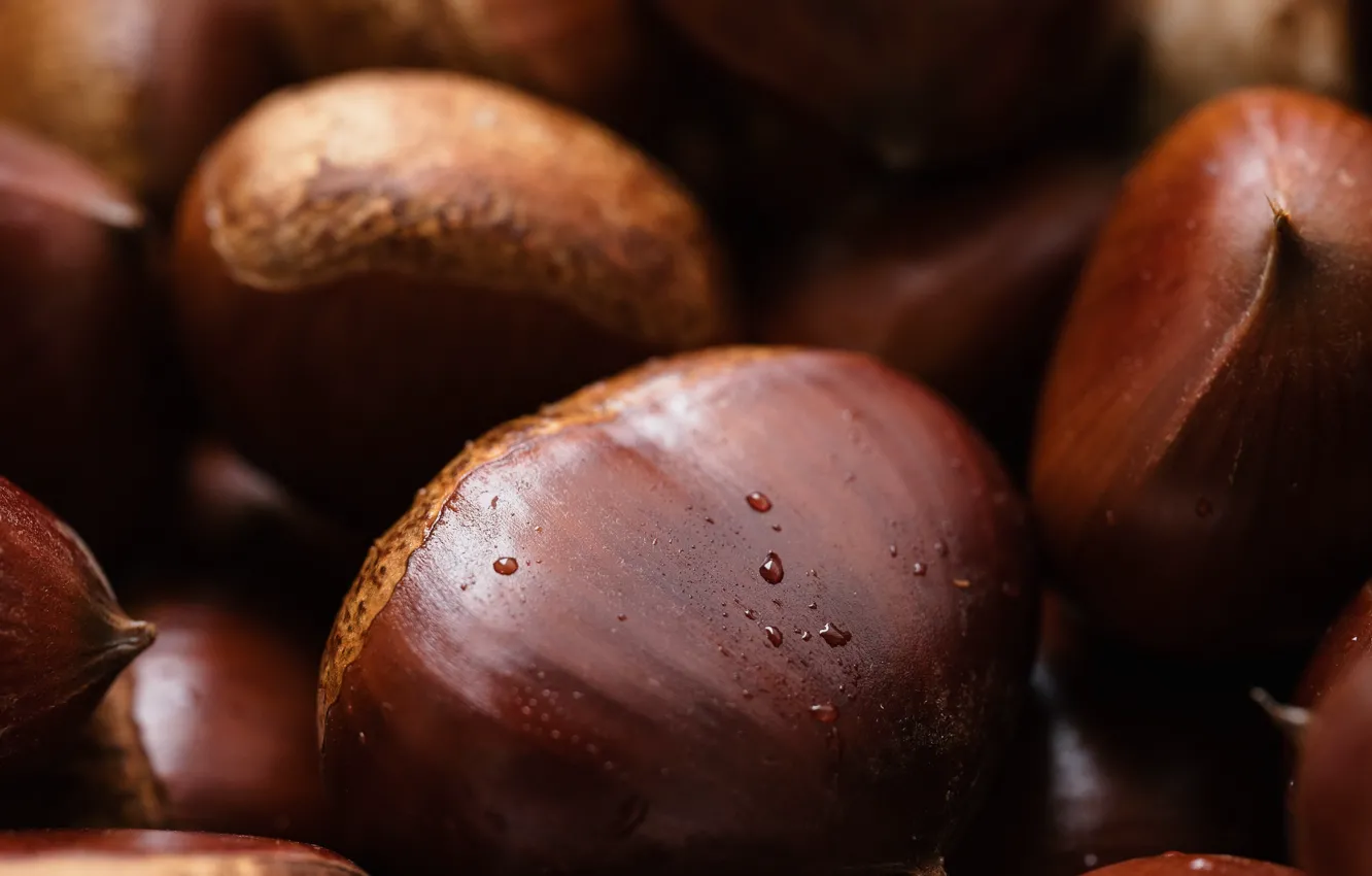 Photo wallpaper macro, background, chestnuts