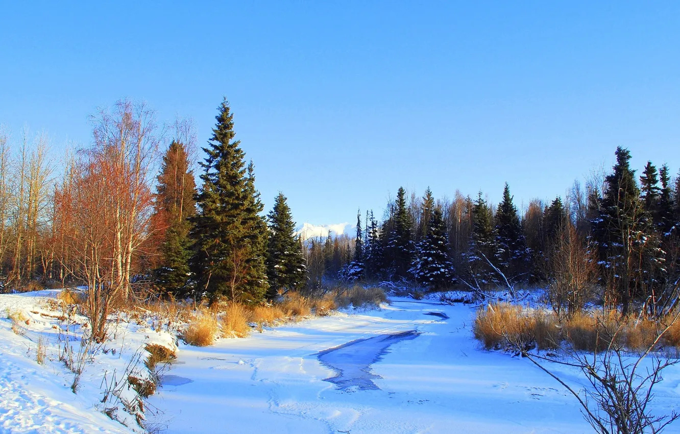 Photo wallpaper ice, winter, forest, snow, lake