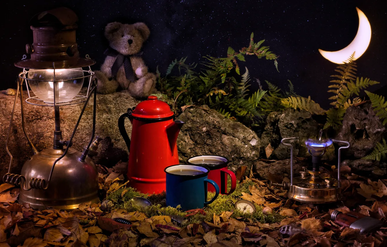 Photo wallpaper leaves, stones, toy, watch, lamp, a month, bear, mugs