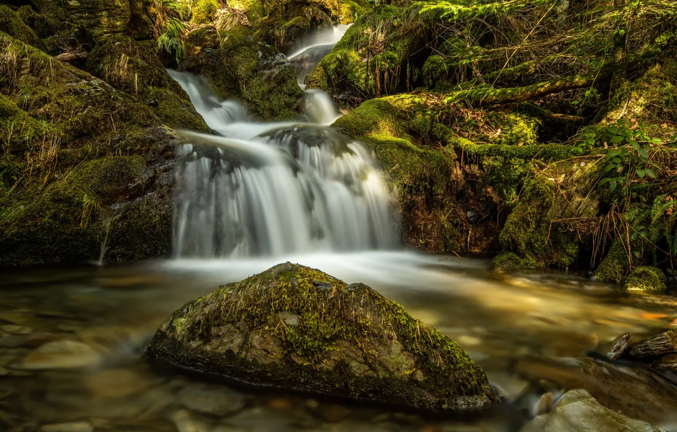 Photo wallpaper stream, stone, England, waterfall, moss, river, cascade, Wales